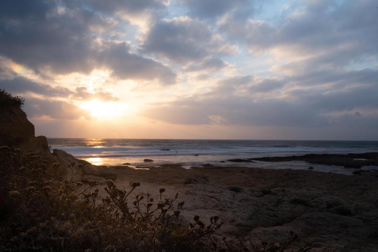 דירות Presiada Heart Of Akko מראה חיצוני תמונה